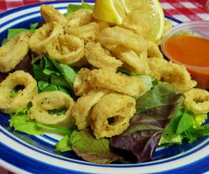 Fried Calamari